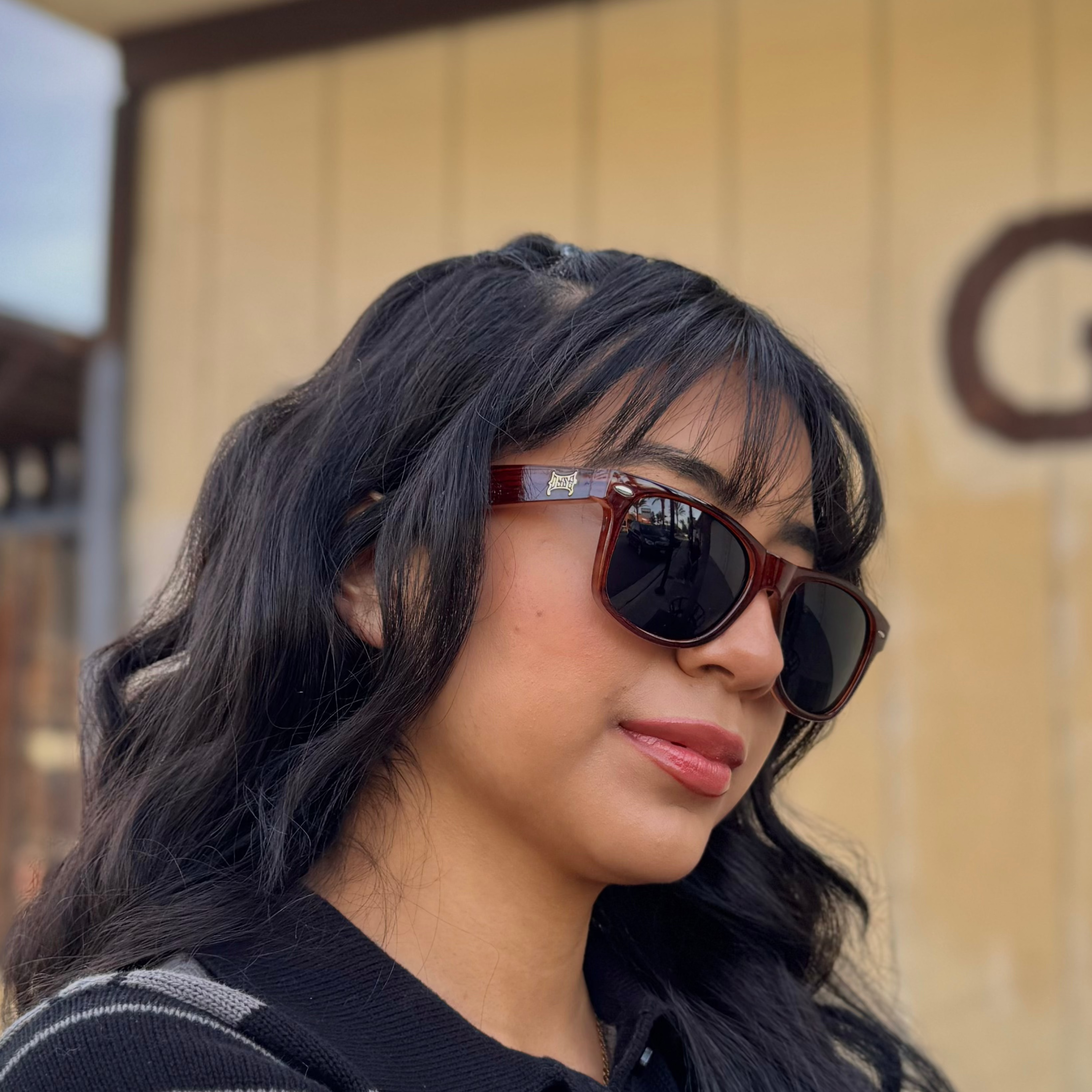 Dyse One Johnson Sunglasses – Brown